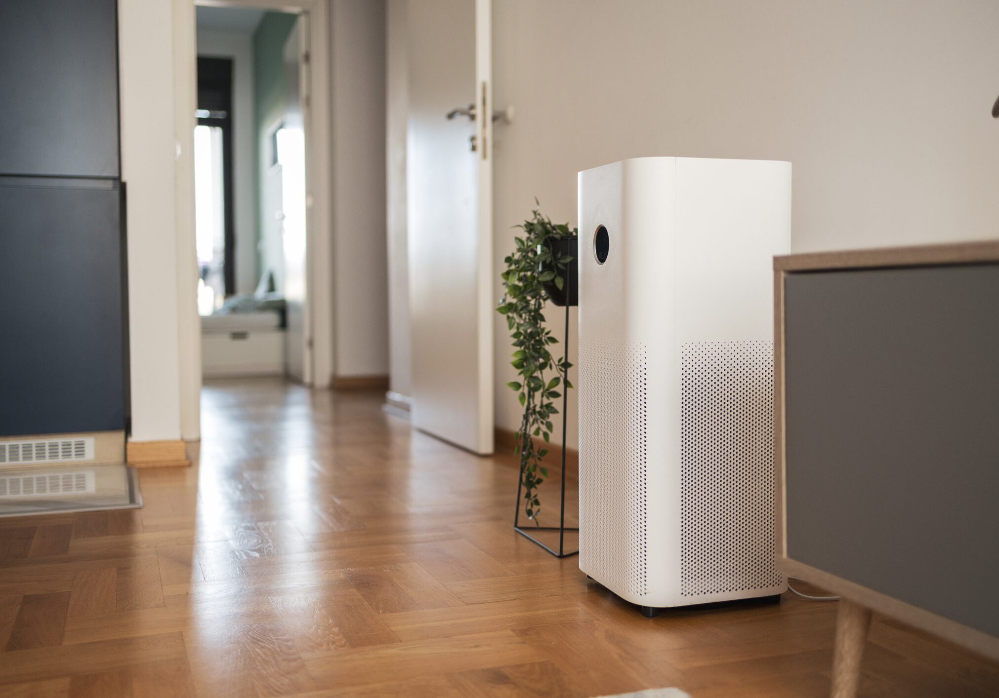 White air purifier in modern home hallway